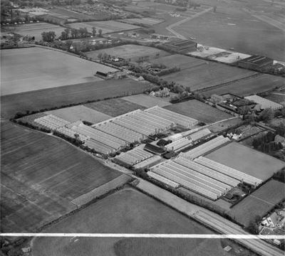 The Nursery on Stubbington Lane, Stubbington, 1952. This image was marked by Aerofilms Ltd for photo editing.
