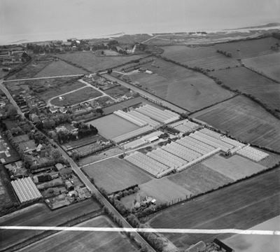 The Nursery on Stubbington Lane, Stubbington, 1952. This image was marked by Aerofilms Ltd for photo editing.