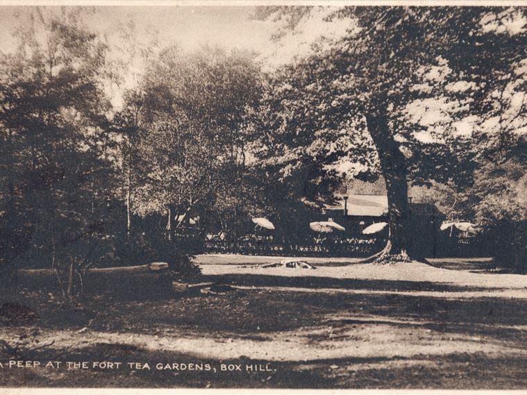 A PEEP AT THE FORT TEA GARDENS
