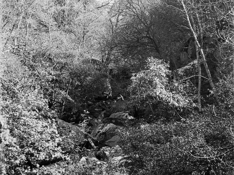 GENERAL VIEW ALONG HARESHAW BURN