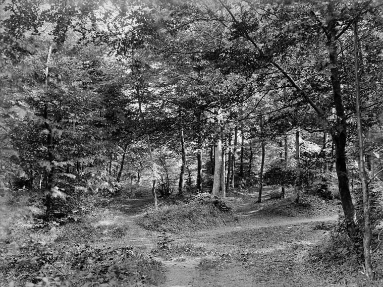 GENERAL VIEW SHOWING FOOTPATHS LEADING THROUGH WOODS