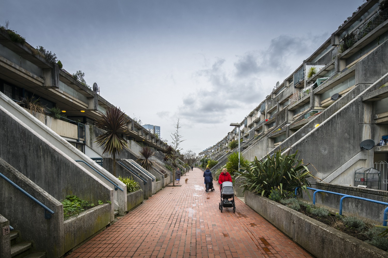 /localTwo rows of flats with two people walking in between