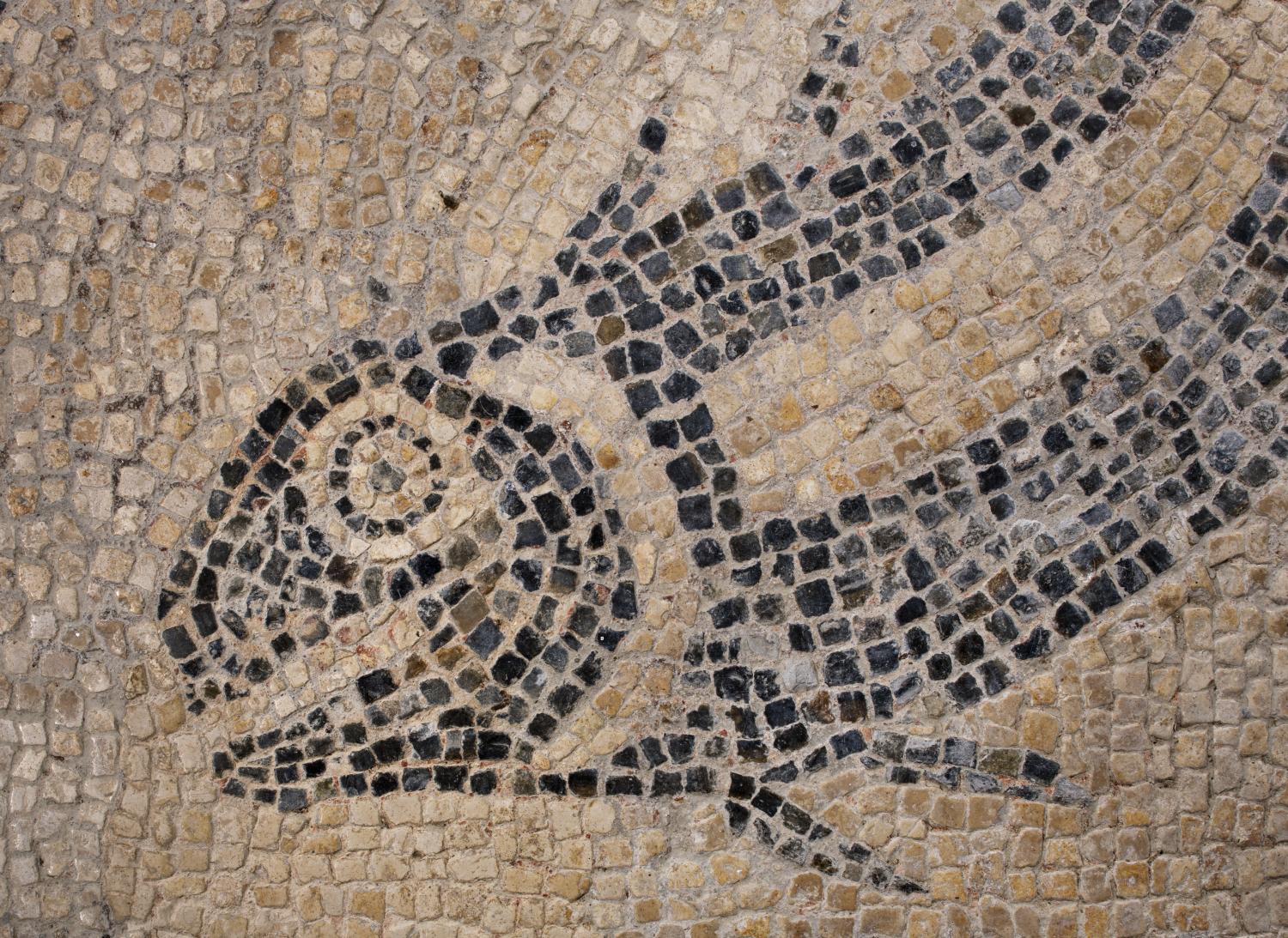 /localA mosaic of a fish