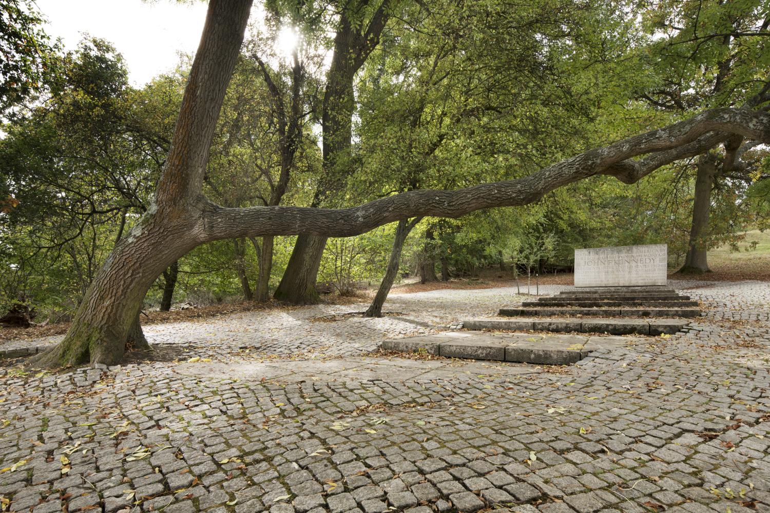 /localA memorial with a tree growing over it