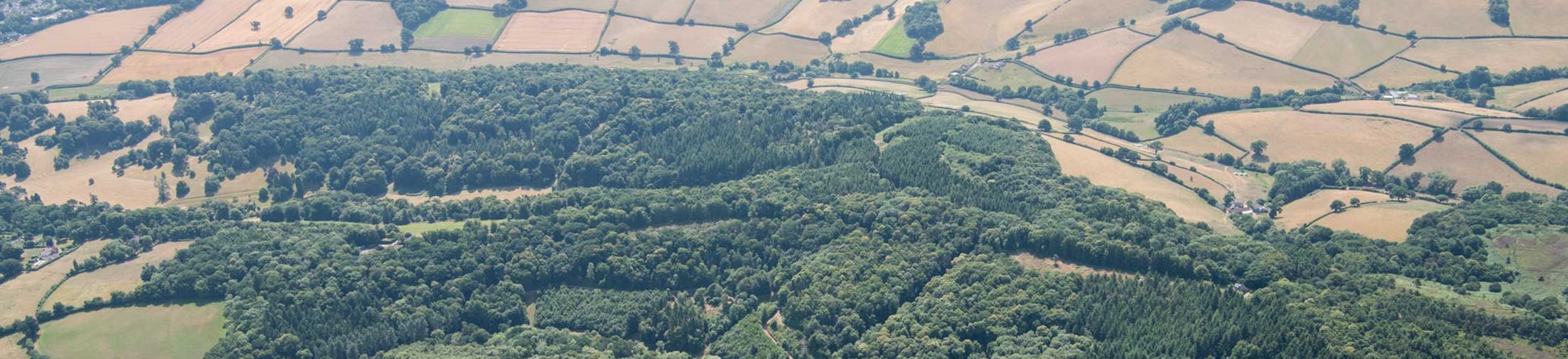 Aerial photograph of woodland in south Devon coastal area.