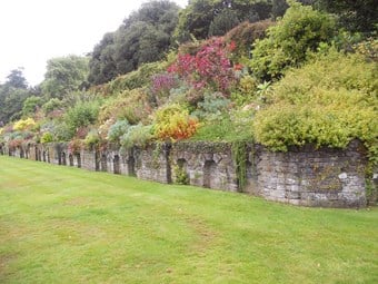Pierced wall and terrace at Endsleigh