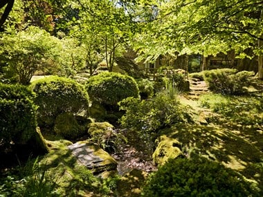 Trees and bushes laid out in the Japanese Garden at the New House, Oxfordshire.