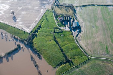 A flooded farmland landscape.