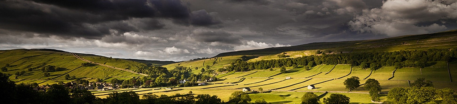 Field barns in the landscape of the Yorkshire Dales National Park