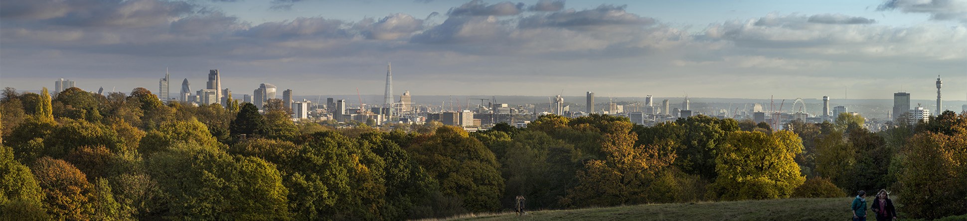General view of the London and Westminster skyline looking south from the grounds of Kenwood House