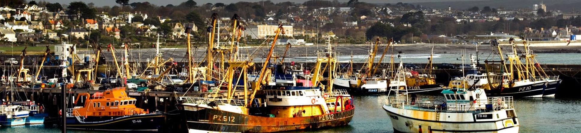 View across the harbour, Newlyn Fishing Port