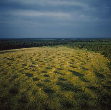 Photo of a field showing archaeological patterns.