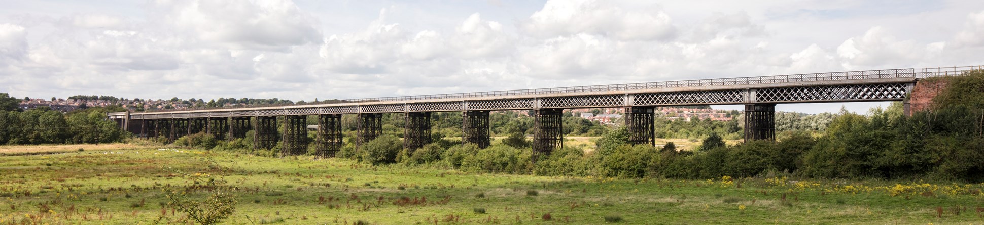 Bennerley Viaduct photographed from a distance with a field with yellow flowers in the foreground