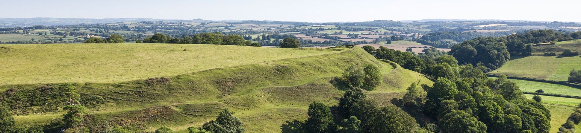 Aerial view of hill fort surrounded by trees.