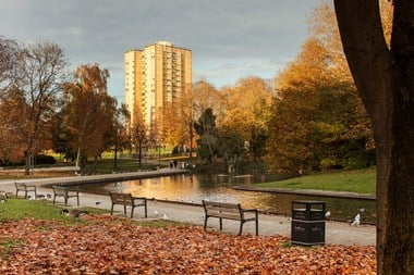 Park benches alongside a large pond in autumn. A tower block is visible in the background.