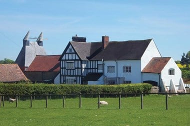 Mixture of timber-framed and whitewashed building with a field of sheep in the foreground