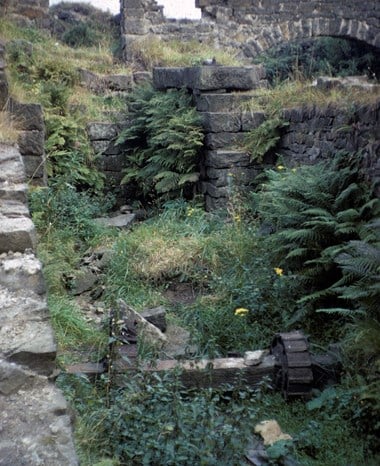 Remains of a wheelpit covered with vegetation