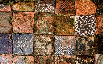 Biological growth on medieval tiles