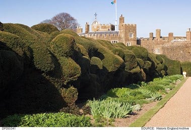 The historic cloud hedge at Walmer Castle, Kent