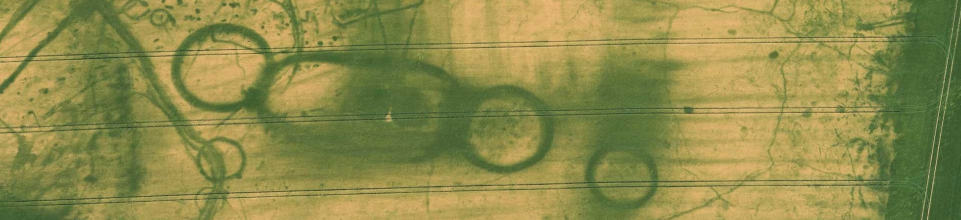 Colour aerial photograph showing an arable crop with archaeological features visible