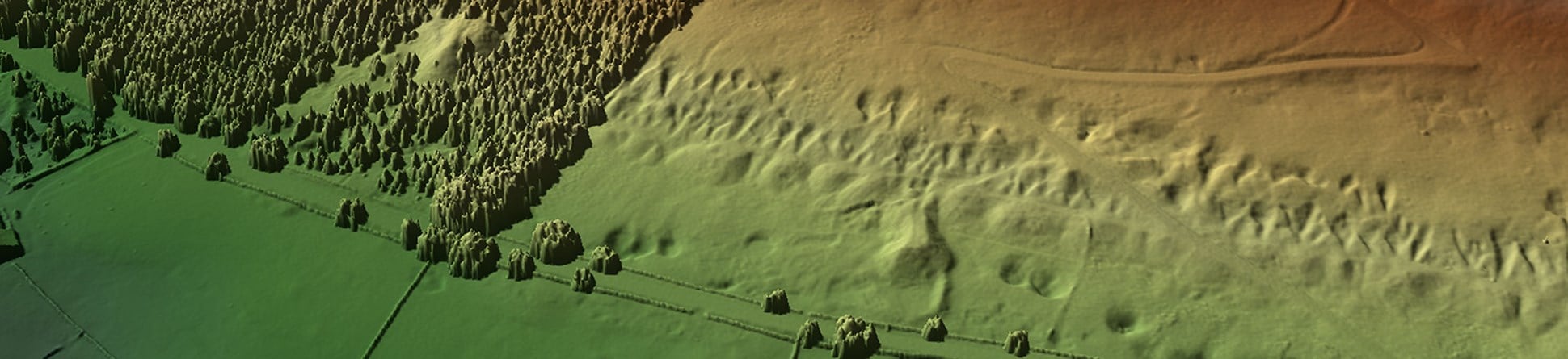 Colour image showing a stylised ground surface with trees to left and disturbed ground with mounds and pits to right