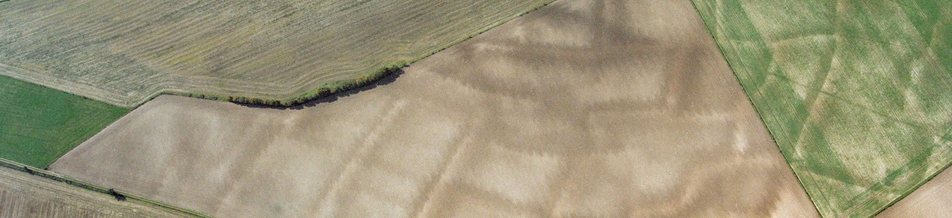 Image of buried archaeology in rural fields visible from aerial photographs