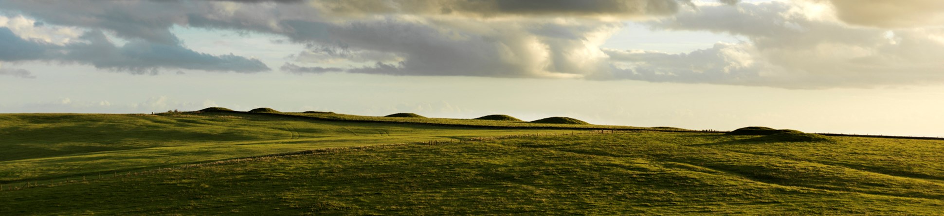 line of barrows at Priddy silhouetted against the sky