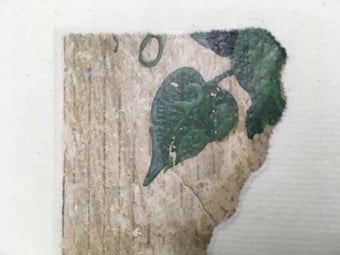A detail of a historic wallpaper featuring a leaf. The green pigment contain arsenic.