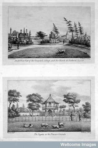 Two views: the vineyard, cottage and church, and the pagoda in the Pleasure grounds 
Lithograph 1827 From: Ticehurst Hospital Prospectus: Ticehurst Private Asylum for insane persons.