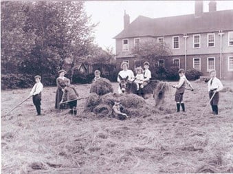 Making hay to at the back of the Worcester College for the Blind, courtesy of New College Worcester Archives.