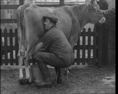 Still from Pathé film 'Blind Farmer Carries On'. 34-year-old farmer John Irwin who has been blind from birth milking a cow. 1942.