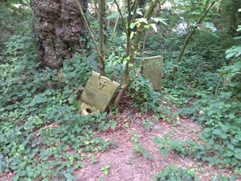 Gravestones at Leavesden Asylum cemetery. 