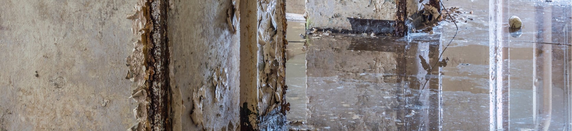 Water floods the floor of a building. Peeling paint falls from columns and fills the puddles.