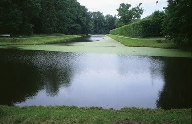 Canal at Nieberów, Poland