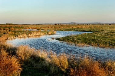 Looking south-east across Cliffe Marshes