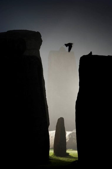 Bird flying over the stones at Stonehenge at night