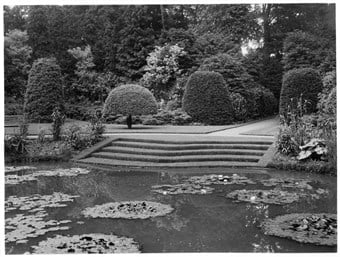 archive black and white photograph of steps leading down to a pond with several groups of lily pads