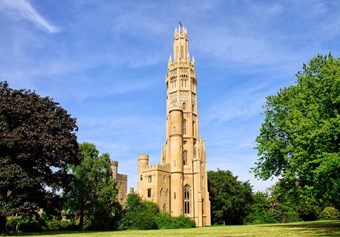 Hadlow Tower surrounded by trees