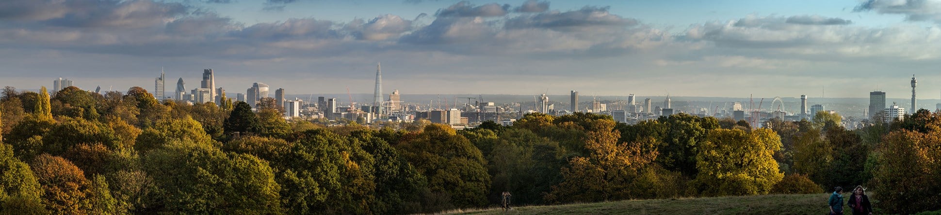 Image of London's skyline from Hampstead Heath