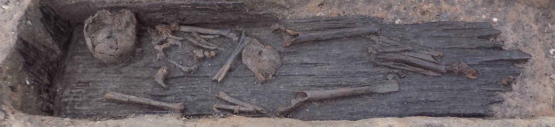 A plank lined grave with human remains