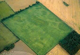 Colour aerial photo showing arable fields with archaeology seen as darker green lines against a paler green background