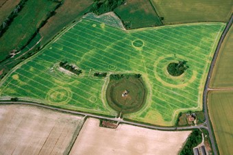 Colour aerial photo showing arable fields with archaeology seen as yellow lines against a green background