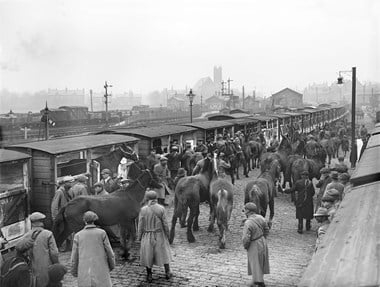 Horses being unloaded at Ormskirk