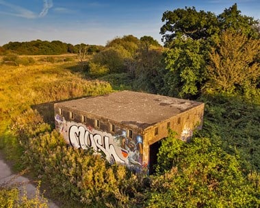 A single-storey square concrete bunker overgrown by brambles, with a wizard and the word "Mush" graffitied onto it. 