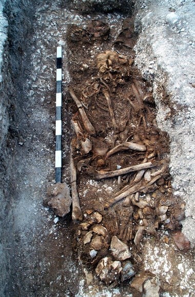 Photograph showing disarticulated human remains in a cut feature grave deposit.
