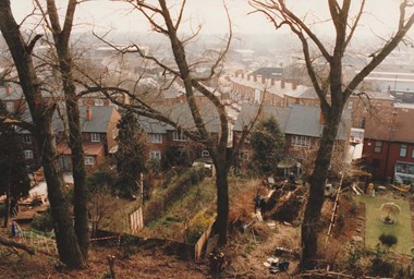 View looking down on gardens and houses