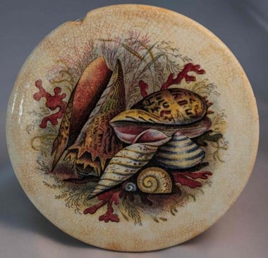 Pot lid featuring polychrome shell pattern