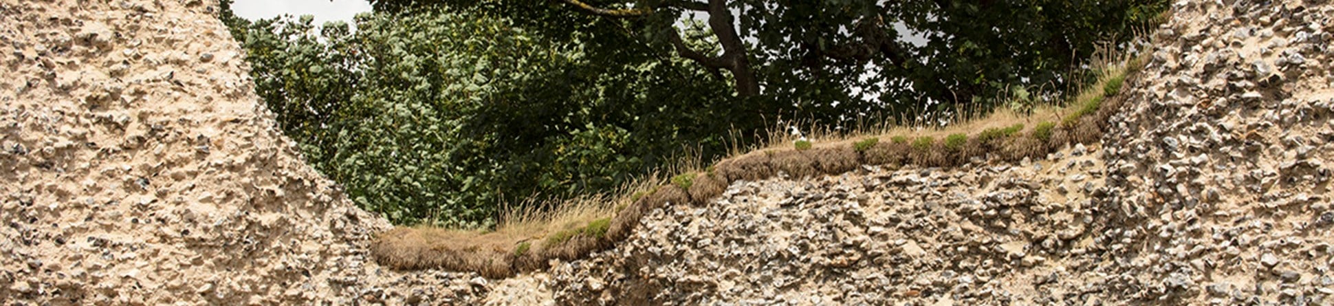 View of a grassy top on a rubble wall with trees in the background.
