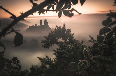 A photograph featuring the silhouette of a castle surrounded by mist with frosted greenery in the foreground.
