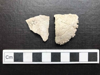 Photograph showing two fragments of calcined bone.